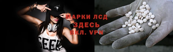 крисы Баксан