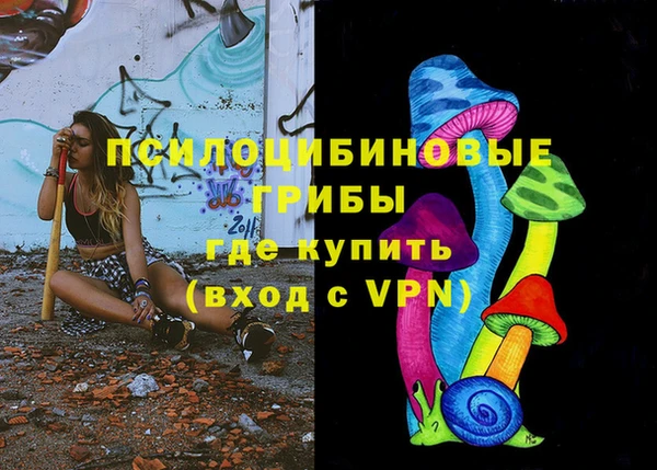 крисы Баксан