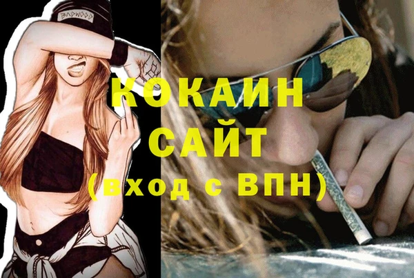 ГАЛЛЮЦИНОГЕННЫЕ ГРИБЫ Арсеньев